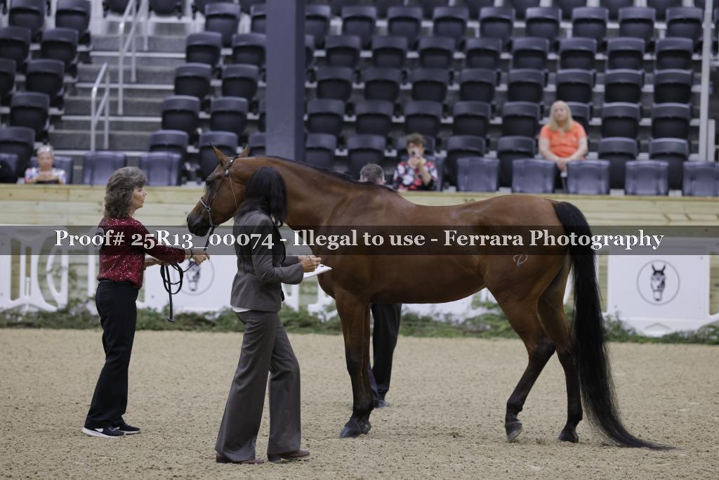 Proof 25R13_00074