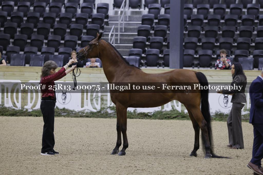 Proof 25R13_00075