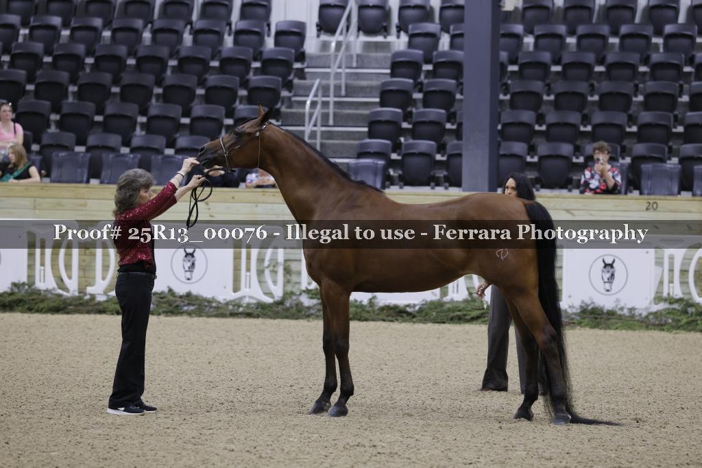 Proof 25R13_00076