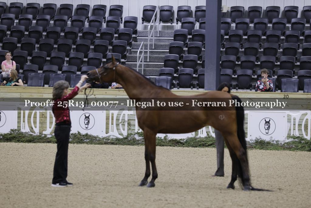 Proof 25R13_00077