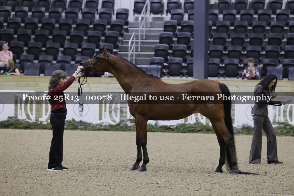 Proof 25R13_00078