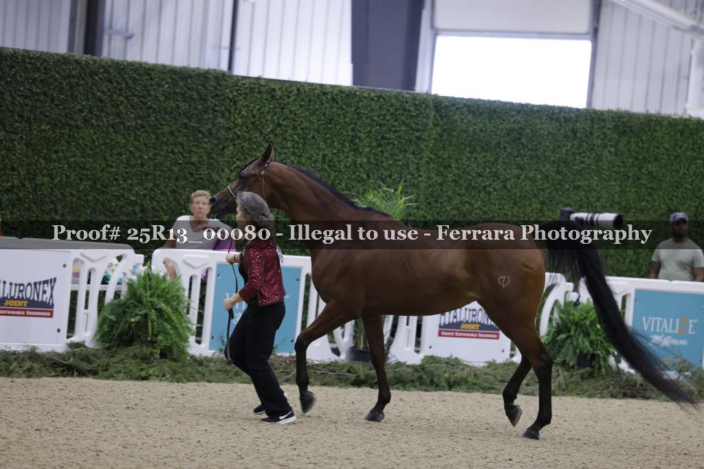 Proof 25R13_00080