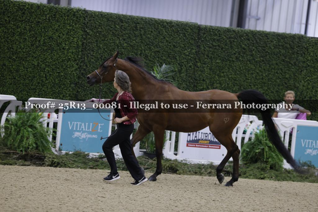 Proof 25R13_00081
