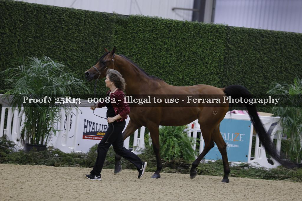 Proof 25R13_00082
