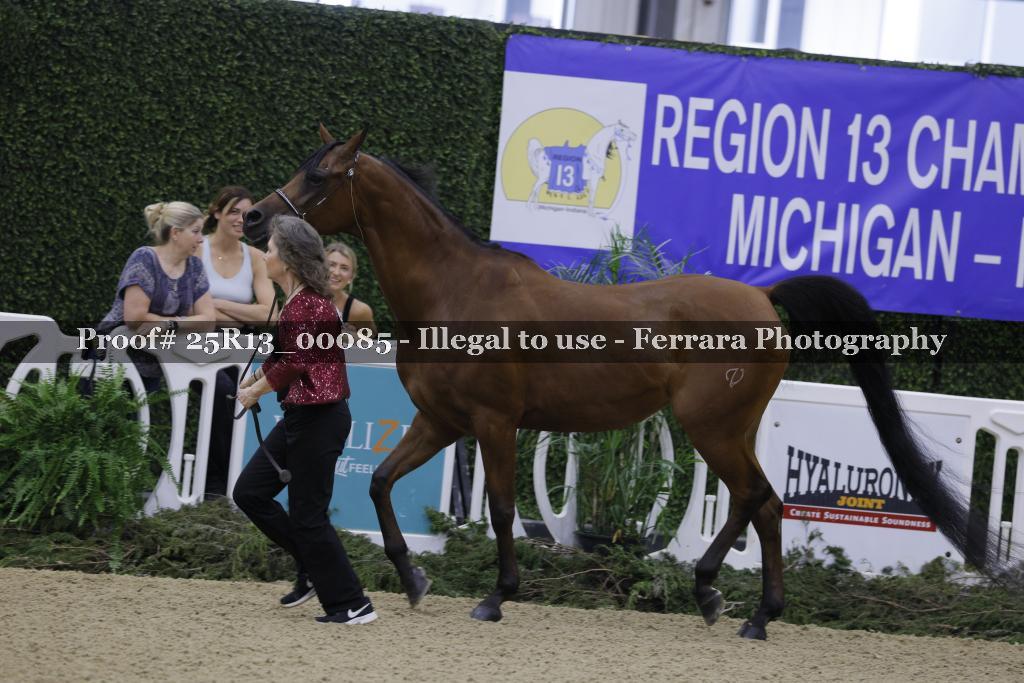 Proof 25R13_00085