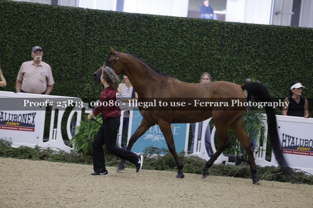 Proof 25R13_00086