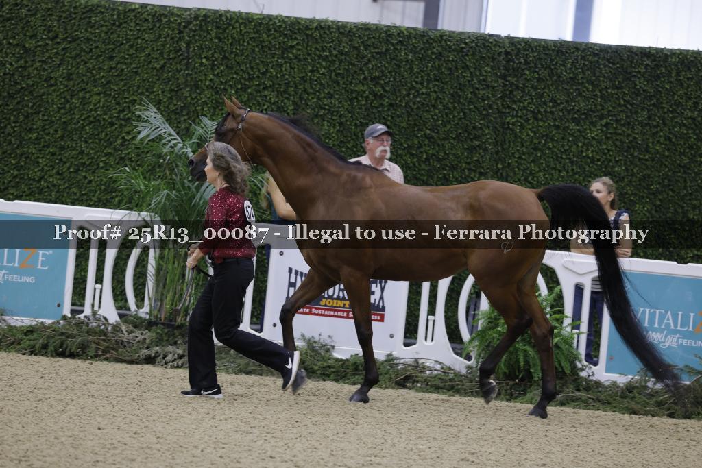 Proof 25R13_00087