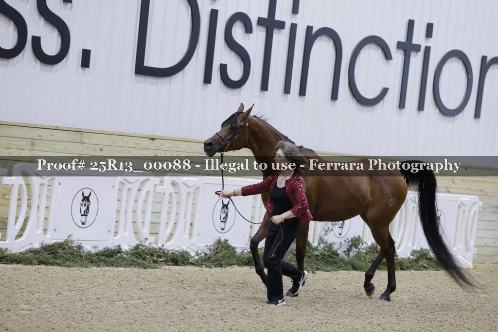 Proof 25R13_00088