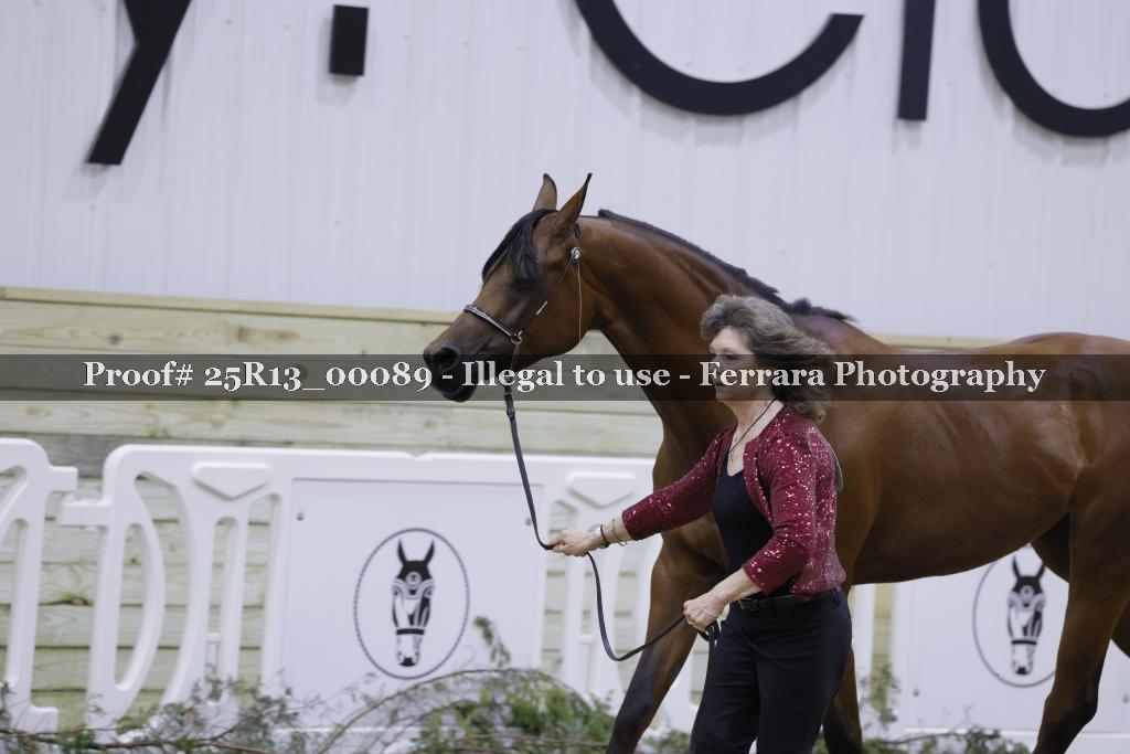 Proof 25R13_00089