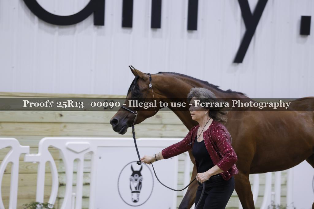 Proof 25R13_00090