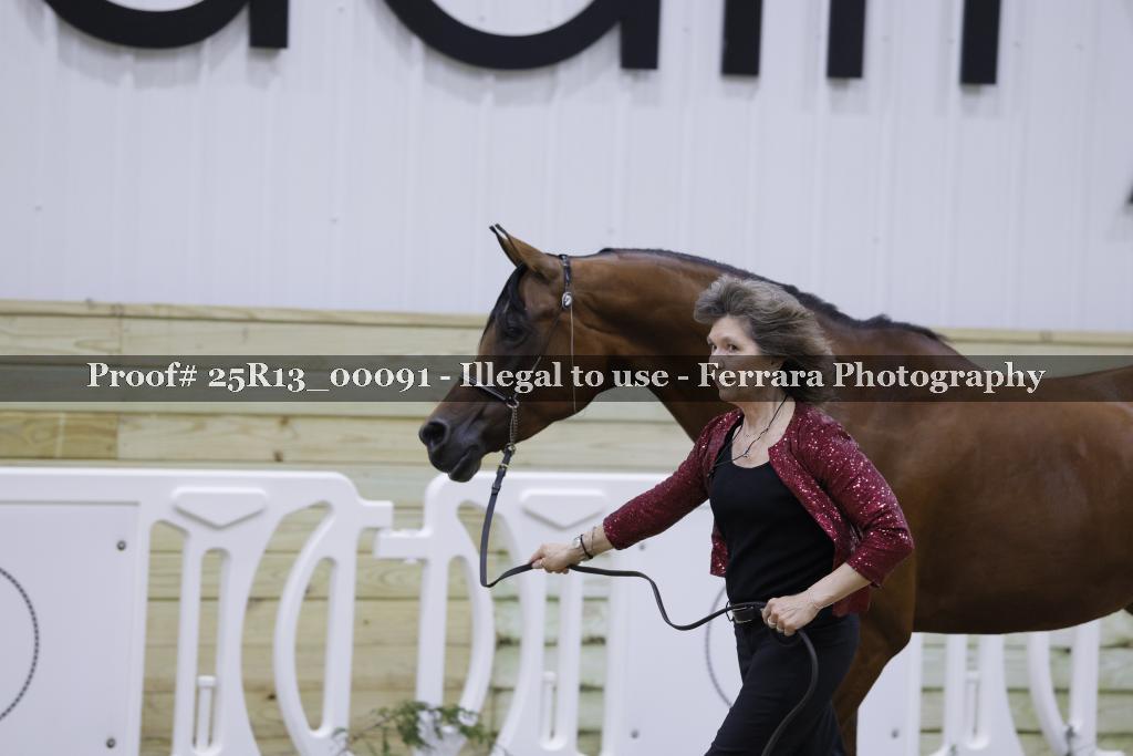 Proof 25R13_00091