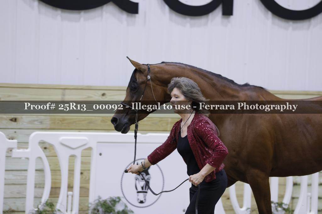 Proof 25R13_00092