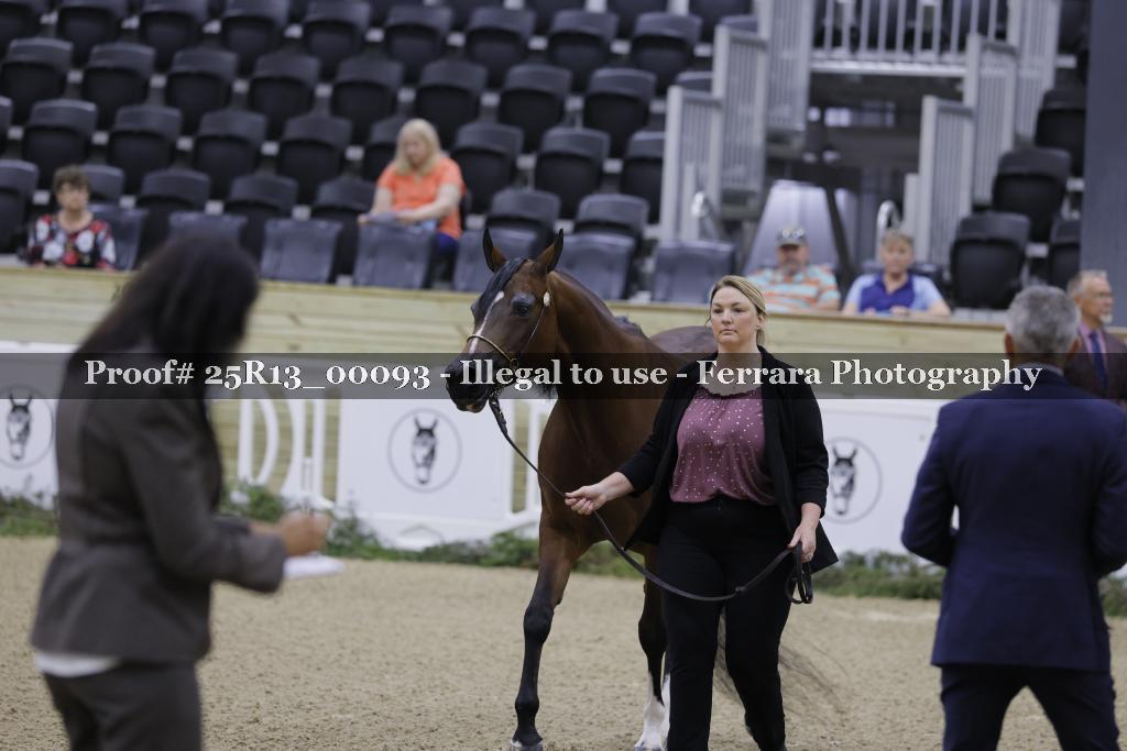 Proof 25R13_00093