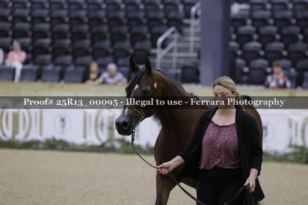 Proof 25R13_00095
