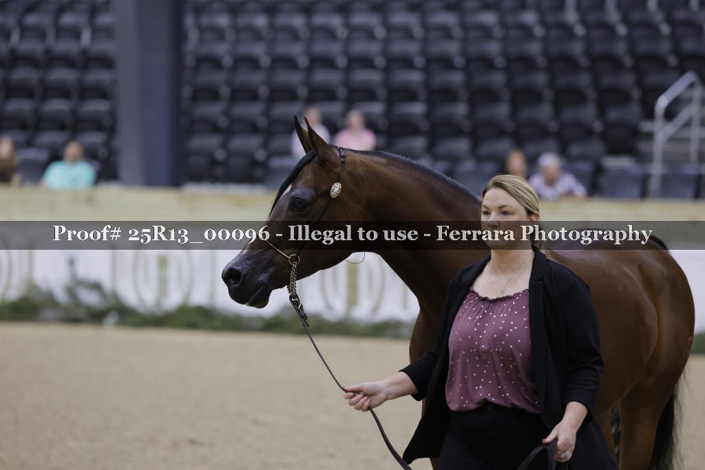 Proof 25R13_00096