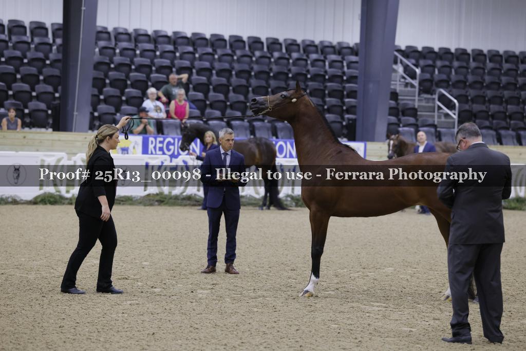 Proof 25R13_00098