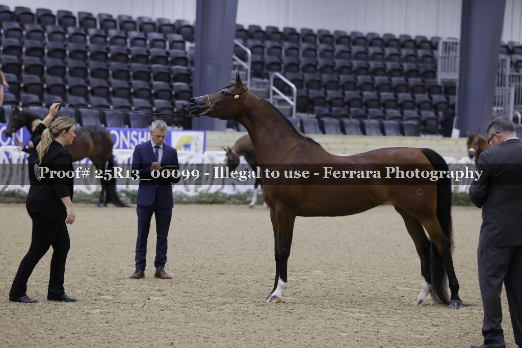 Proof 25R13_00099