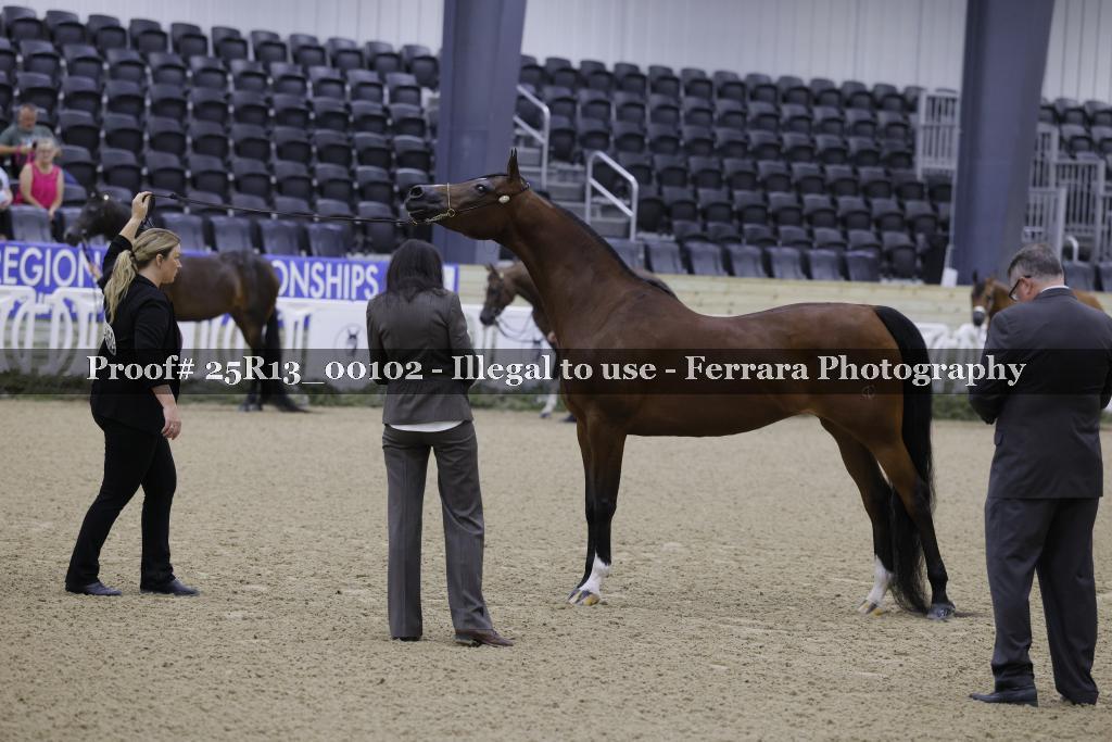 Proof 25R13_00102