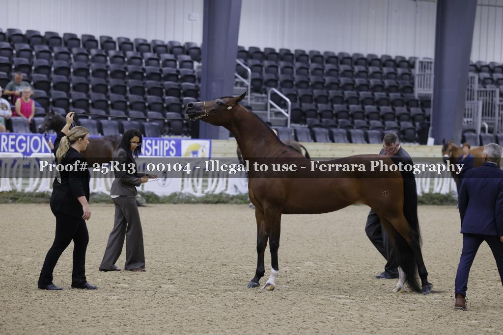 Proof 25R13_00104