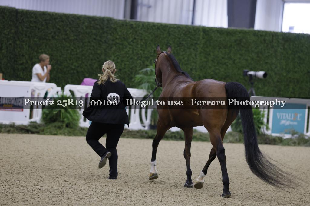 Proof 25R13_00106