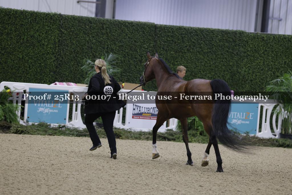 Proof 25R13_00107