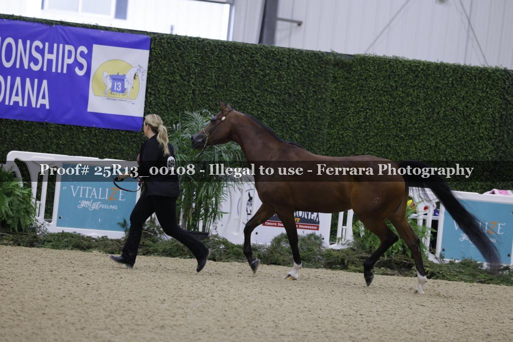Proof 25R13_00108