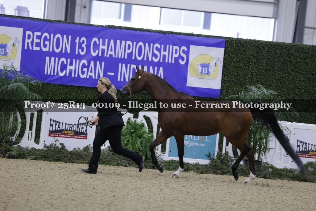 Proof 25R13_00109