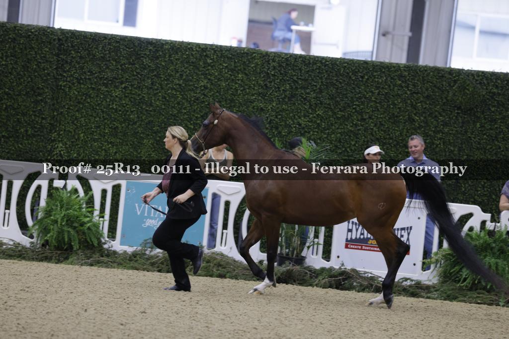 Proof 25R13_00111