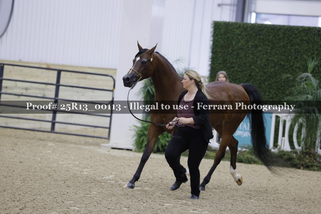 Proof 25R13_00113