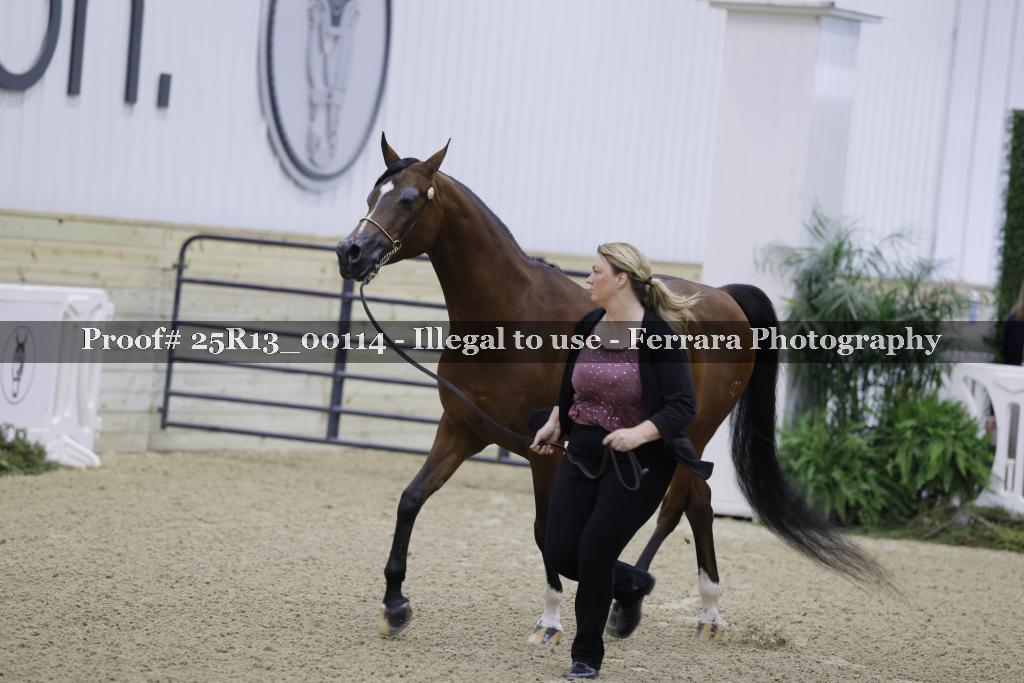 Proof 25R13_00114