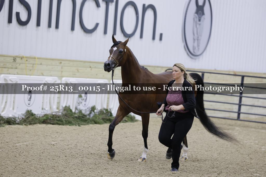 Proof 25R13_00115
