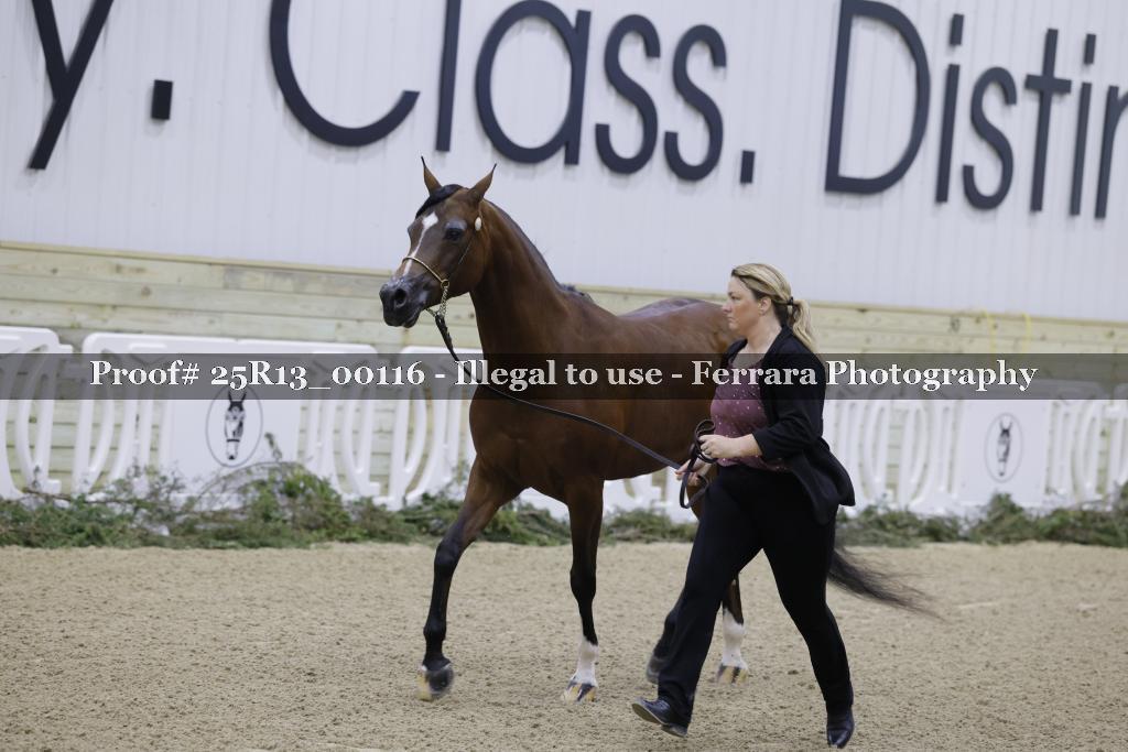 Proof 25R13_00116