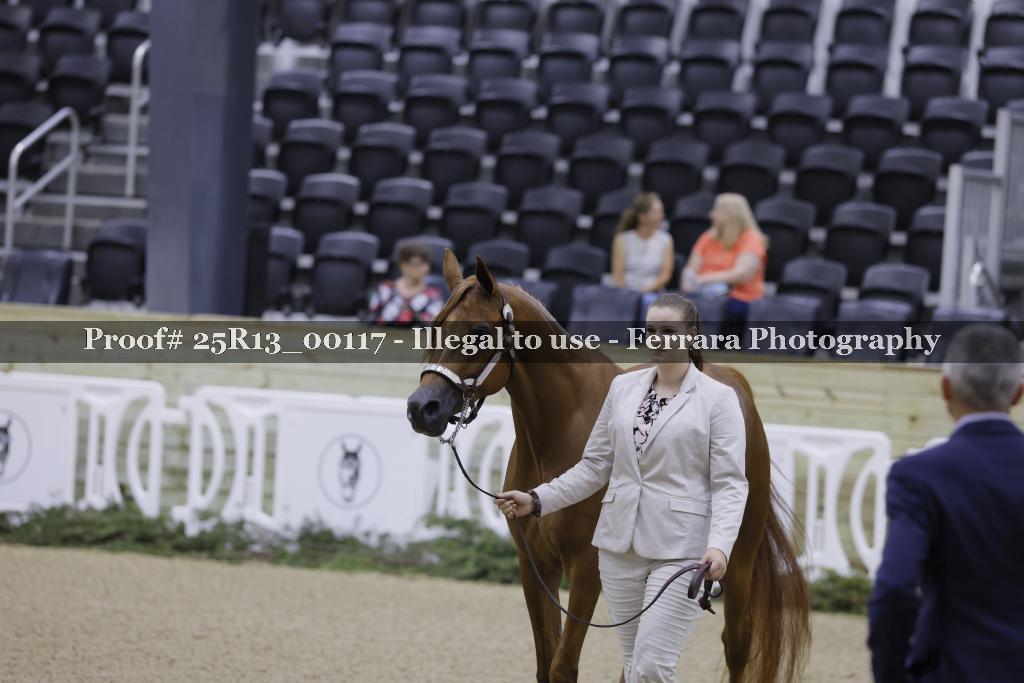 Proof 25R13_00117