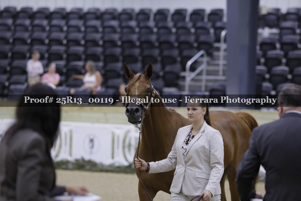 Proof 25R13_00119