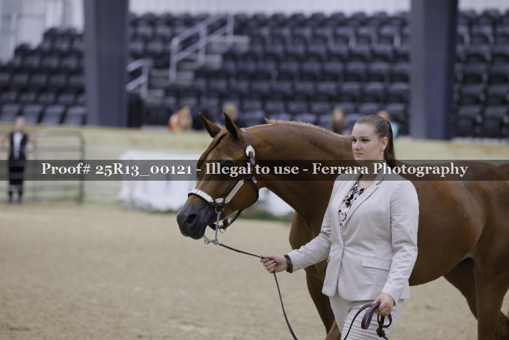 Proof 25R13_00121