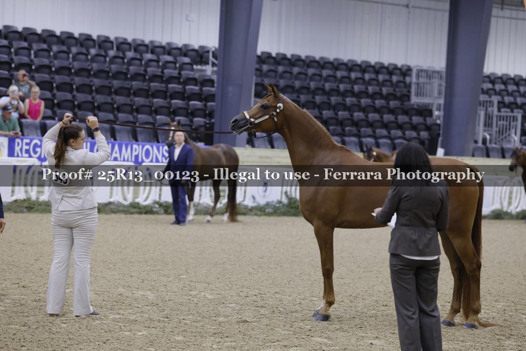Proof 25R13_00123
