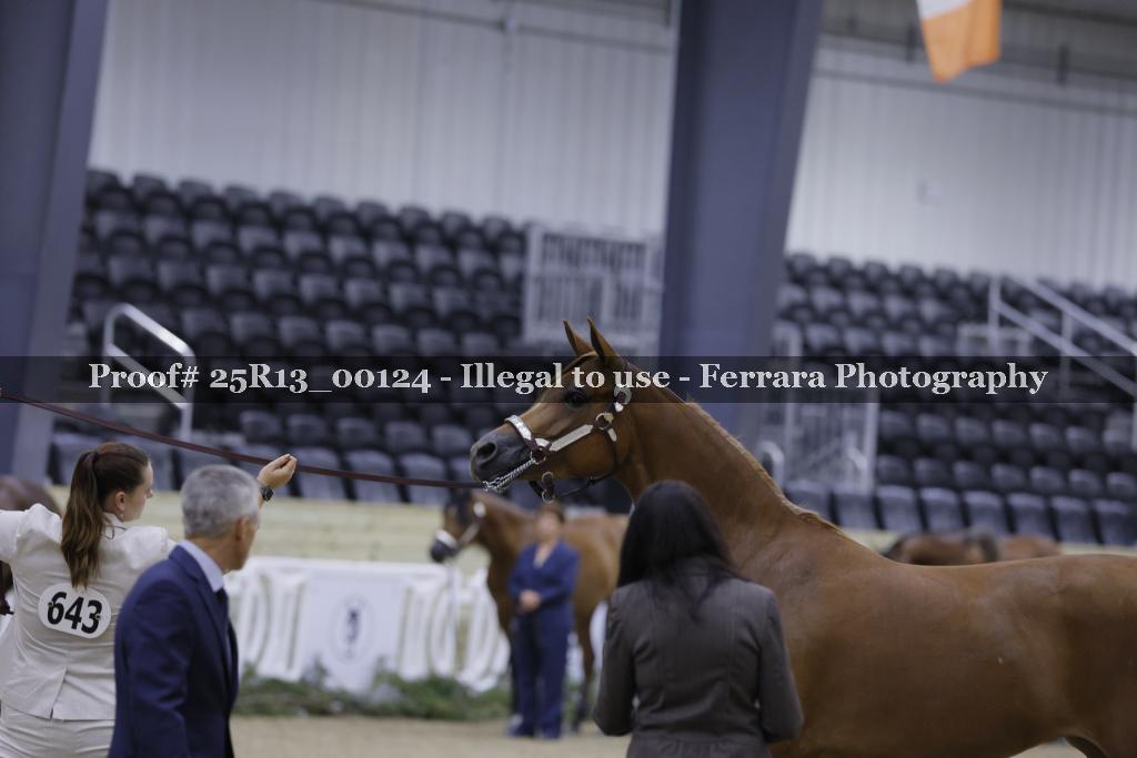 Proof 25R13_00124