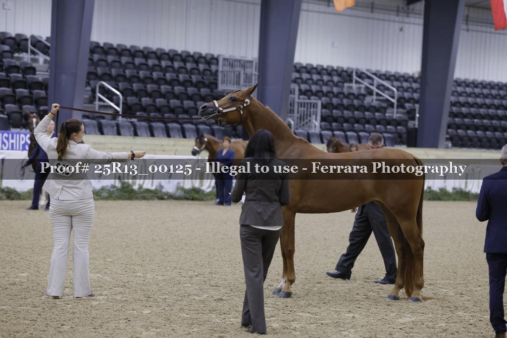 Proof 25R13_00125