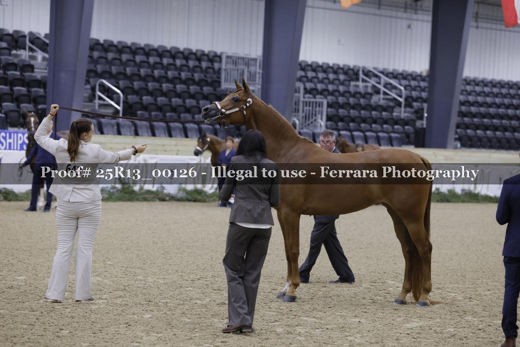 Proof 25R13_00126