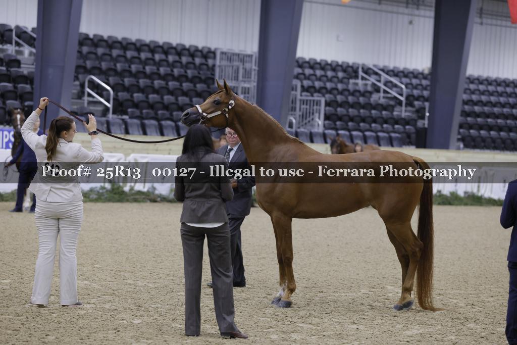 Proof 25R13_00127