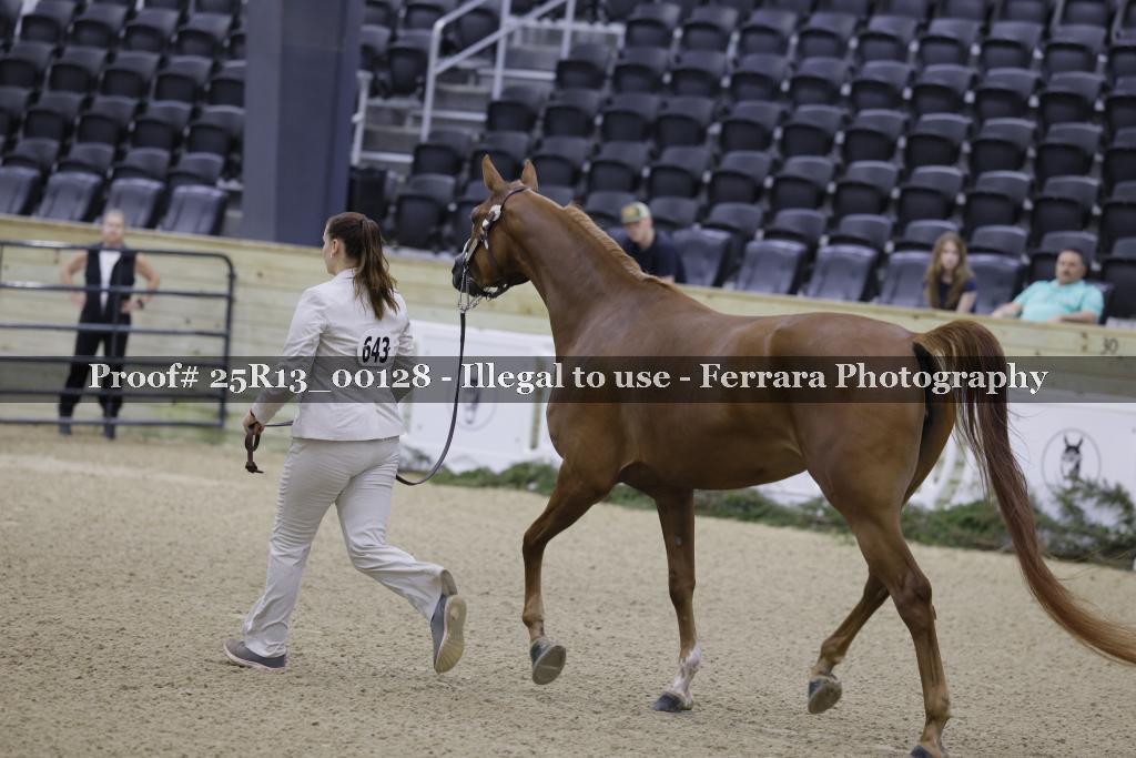 Proof 25R13_00128