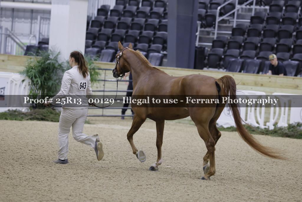 Proof 25R13_00129