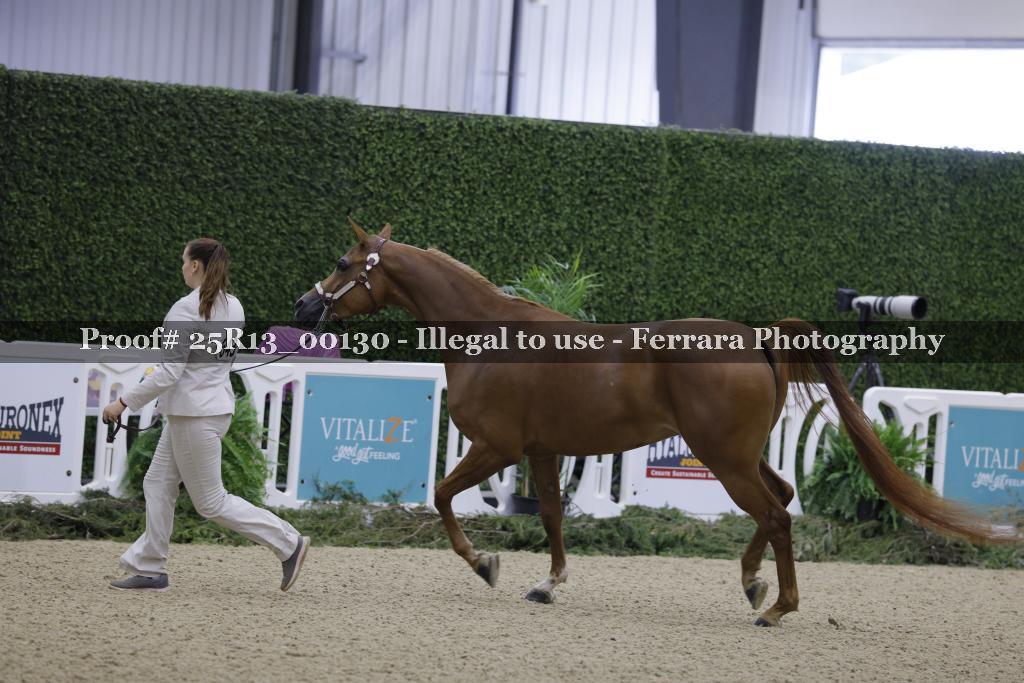 Proof 25R13_00130