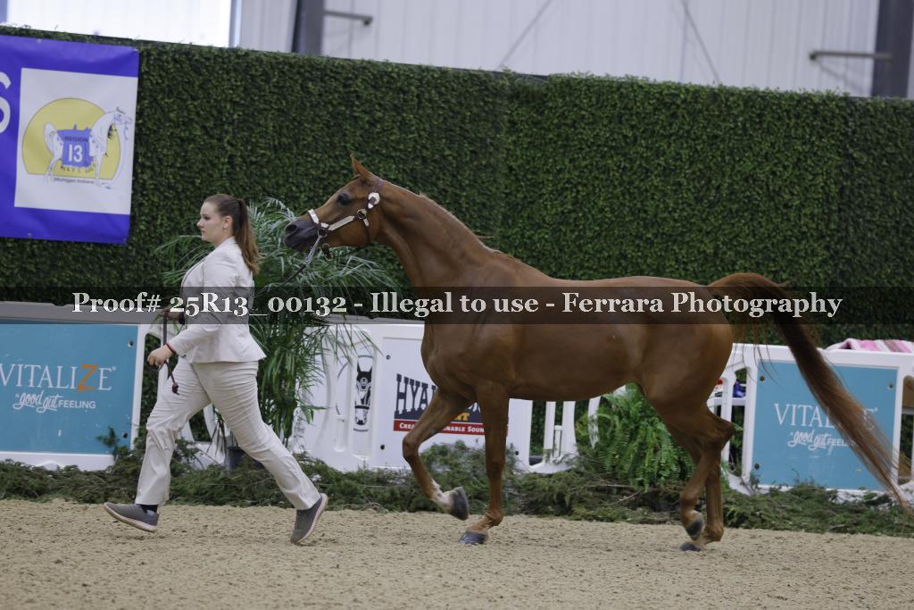 Proof 25R13_00132