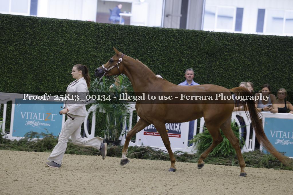 Proof 25R13_00134