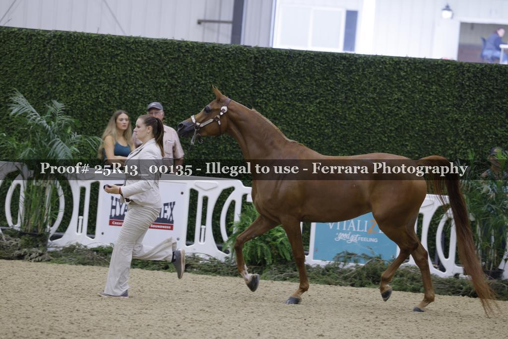 Proof 25R13_00135