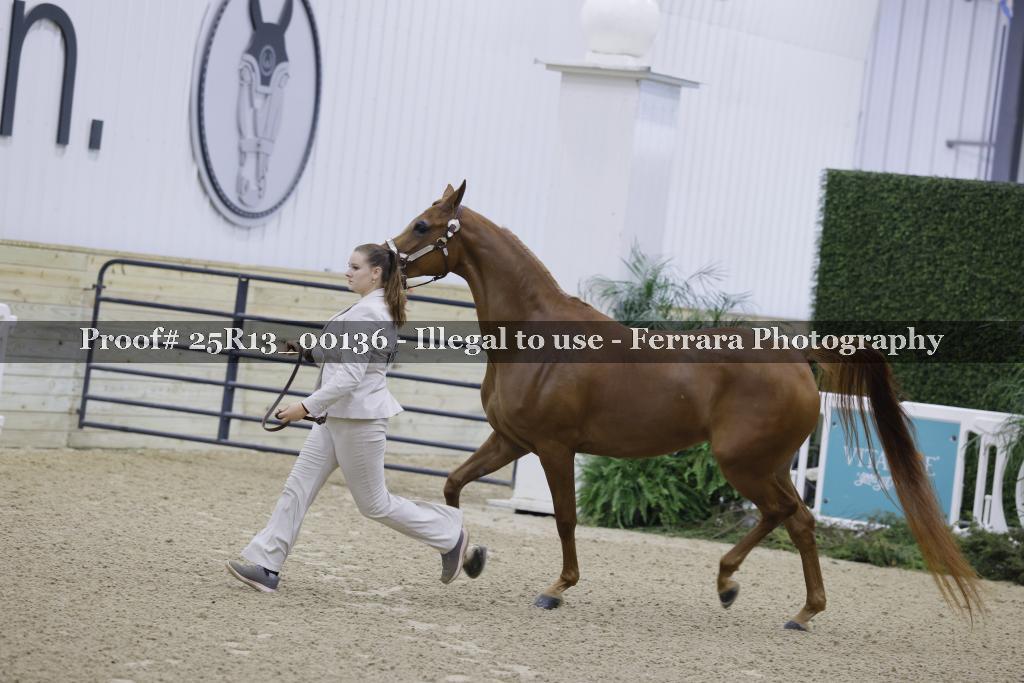 Proof 25R13_00136