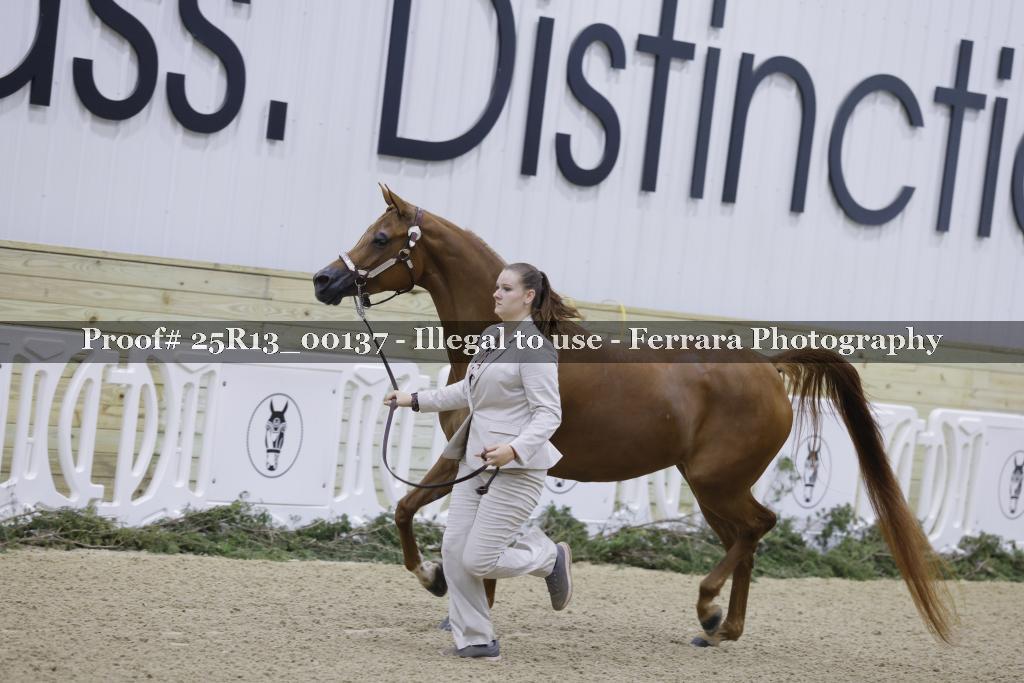 Proof 25R13_00137