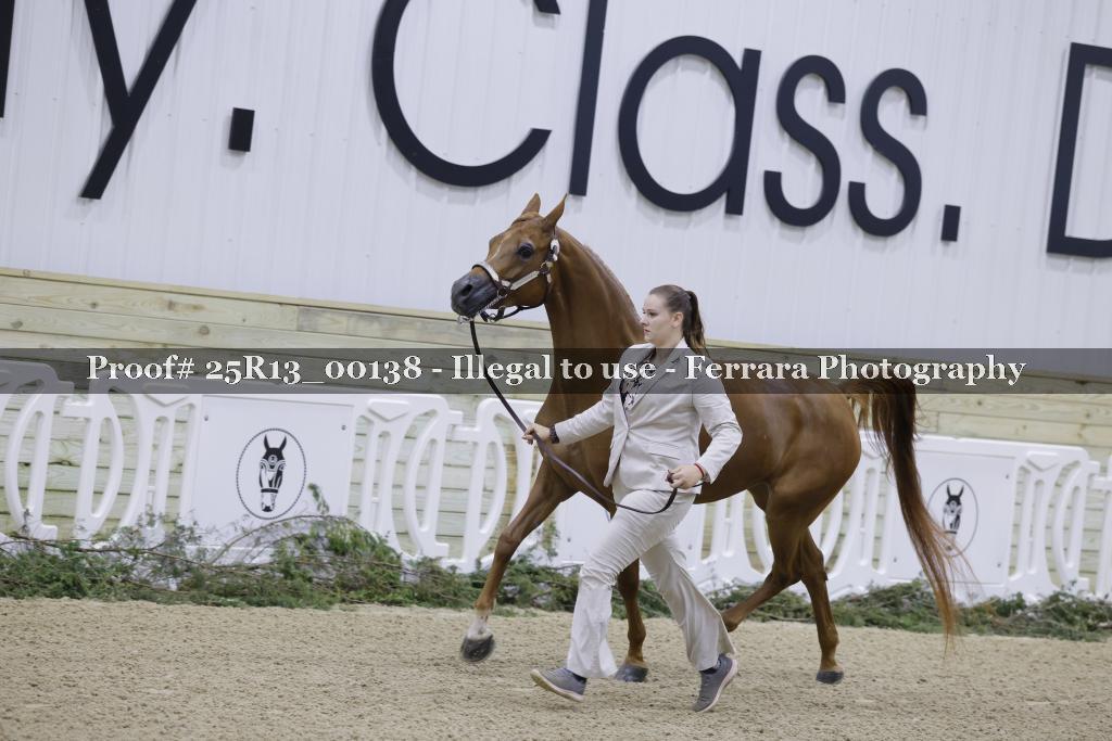 Proof 25R13_00138