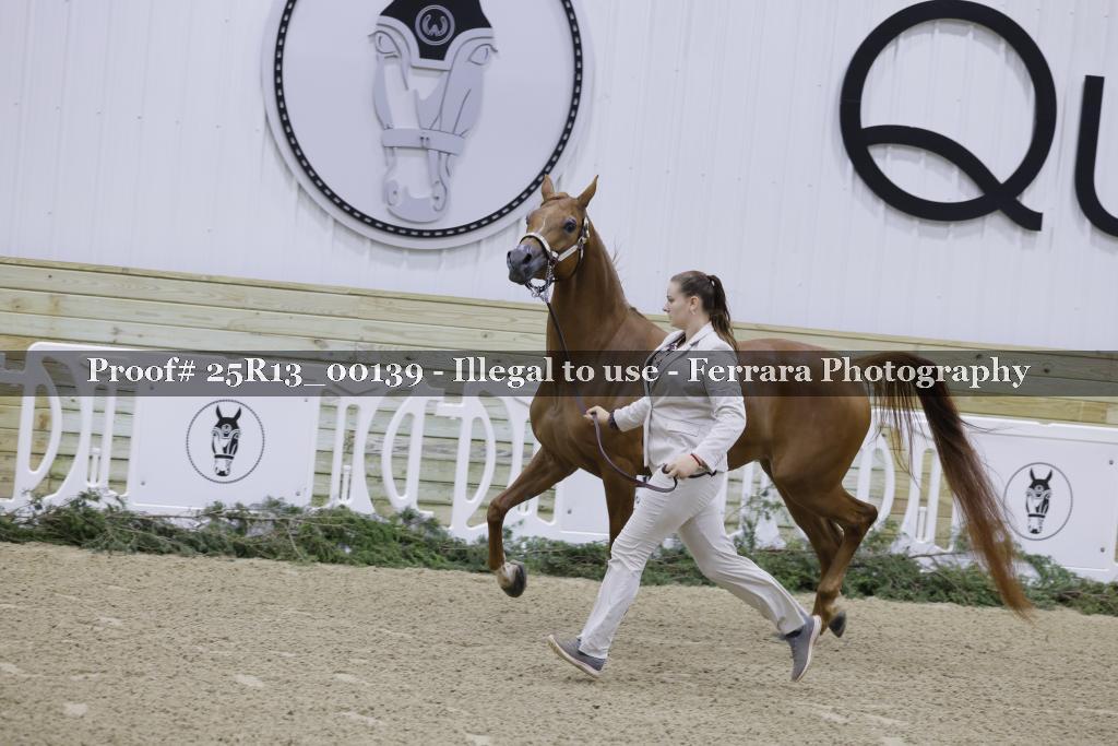 Proof 25R13_00139